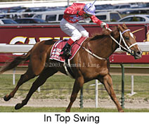 In Top Swing (17278 bytes)
