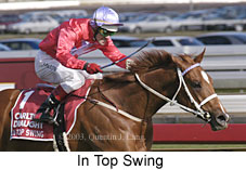 In Top Swing (15440 bytes)