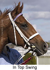 In Top Swing (13438 bytes)