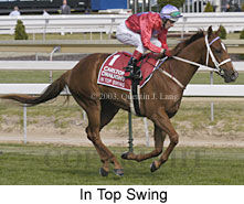 In Top Swing (16438 bytes)