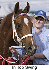In Top Swing (14594 bytes)