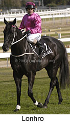 Lonhro (17278 bytes)
