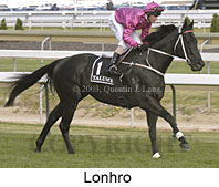 Lonhro (17278 bytes)