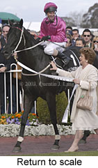 Return to scale (13175 bytes)