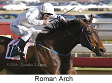 Roman Arch (17278 bytes)