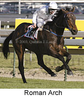 Roman Arch (17278 bytes)