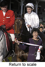 Return to scale (13175 bytes)