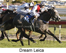 Dream Leica (17278 bytes)