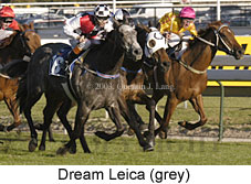 Dream Leica (17278 bytes)