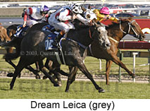 Dream Leica (17278 bytes)