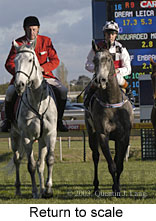 Return to scale (13175 bytes)