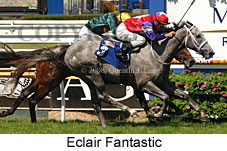 Eclair Fantastic (16519 bytes)