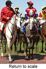 Return to scale (17972 bytes)