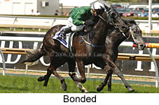 Bonded (16519 bytes)