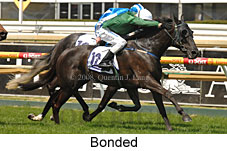 Bonded (16519 bytes)