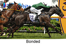 Bonded (16519 bytes)