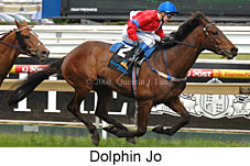 Dolphin Jo (16519 bytes)