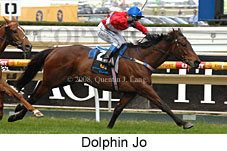 Dolphin Jo (16519 bytes)