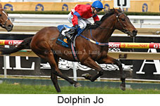 Dolphin Jo (16519 bytes)