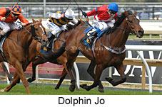 Dolphin Jo (16519 bytes)