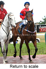 Return to scale (17972 bytes)