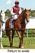 Return to scale (17972 bytes)