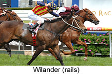 Wilander (16519 bytes)