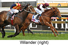 Wilander (16519 bytes)