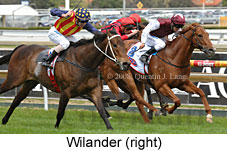 Wilander (16519 bytes)