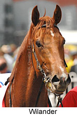 Wilander (16519 bytes)