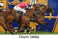 Douro Valley (16519 bytes)