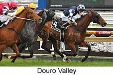 Douro Valley (16619 bytes)