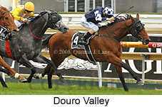 Douro Valley (16519 bytes)