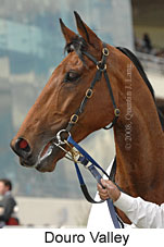 Douro Valley (16519 bytes)