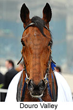 Douro Valley (16519 bytes)