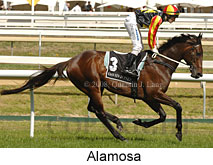 Alamosa (16519 bytes)