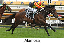 Alamosa (16519 bytes)