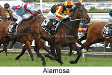 Alamosa (16519 bytes)