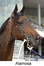 Alamosa (16519 bytes)