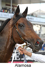 Alamosa (16519 bytes)