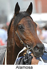 Alamosa (16519 bytes)