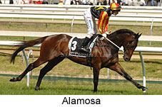 Alamosa (16519 bytes)