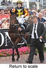 Return to scale (17972 bytes)