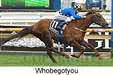 Whobegotyou (16519 bytes)