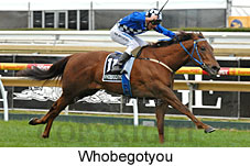 Whobegotyou (13269 bytes)