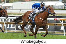 Whobegotyou (16519 bytes)