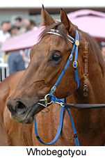 Whobegotyou (16519 bytes)