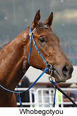 Whobegotyou (16519 bytes)