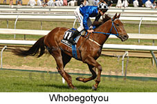 Whobegotyou (16519 bytes)