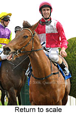 Return to scale (17972 bytes)